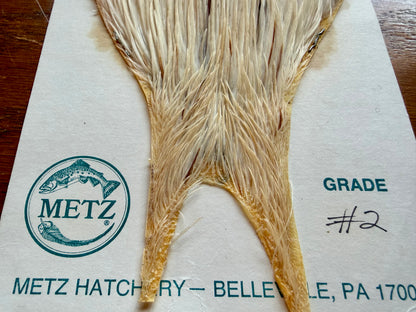 Metz Grade # 2 Cape White Splashed 550-SH-E-L