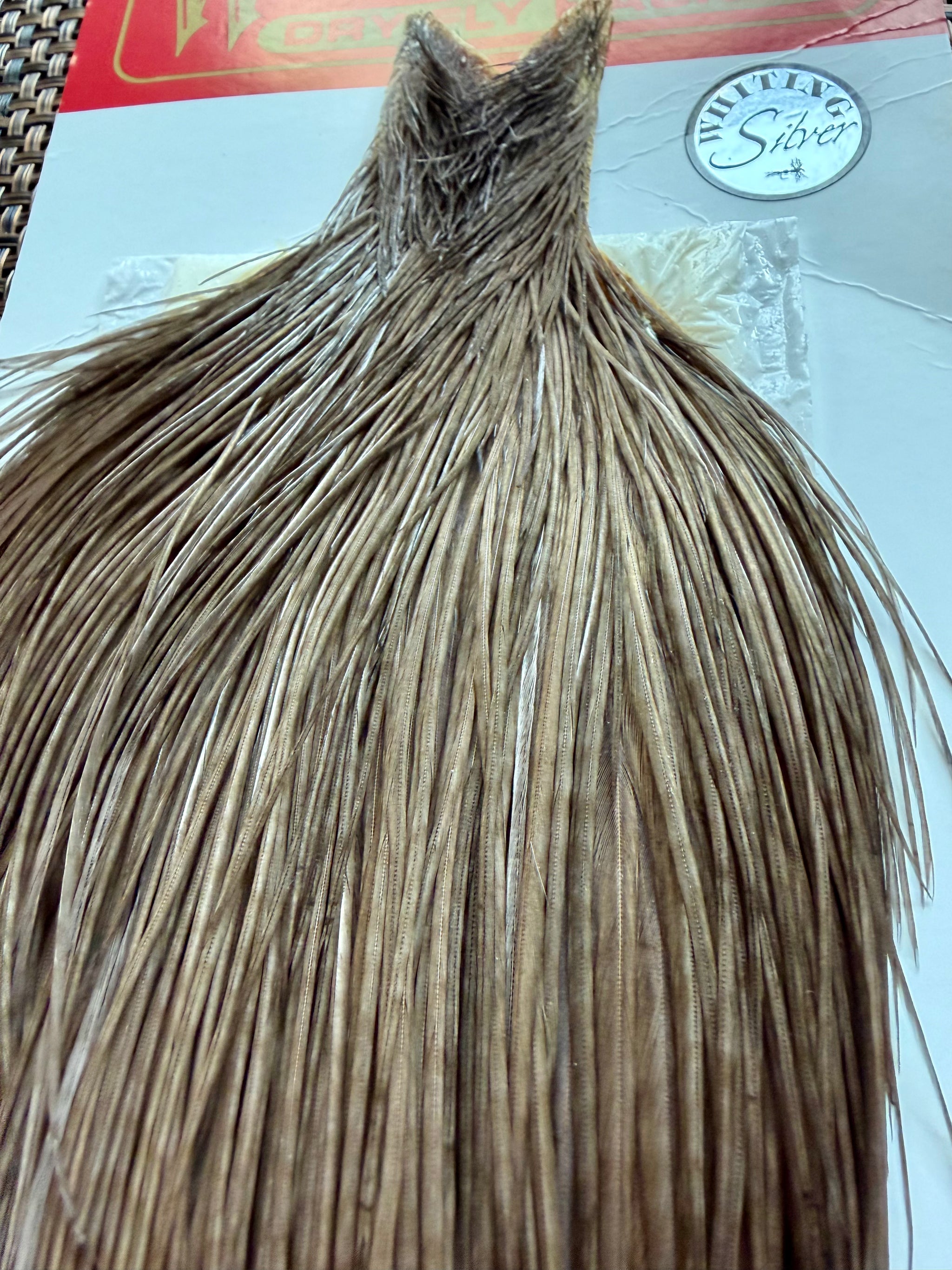 Whiting Farms Silver Rooster Cape Dark dyed Dun 302-SH-E-L