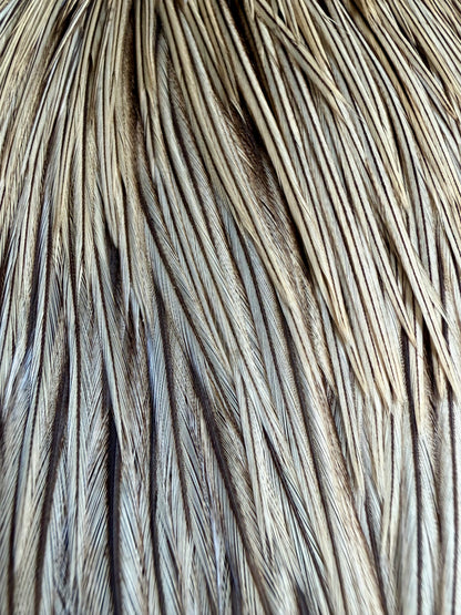 Rooster Cape Unique Variant 695-SH-E-L