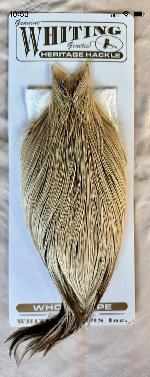 Whiting Farms Heritage Hackle Cape Badger 246-SH-E-L