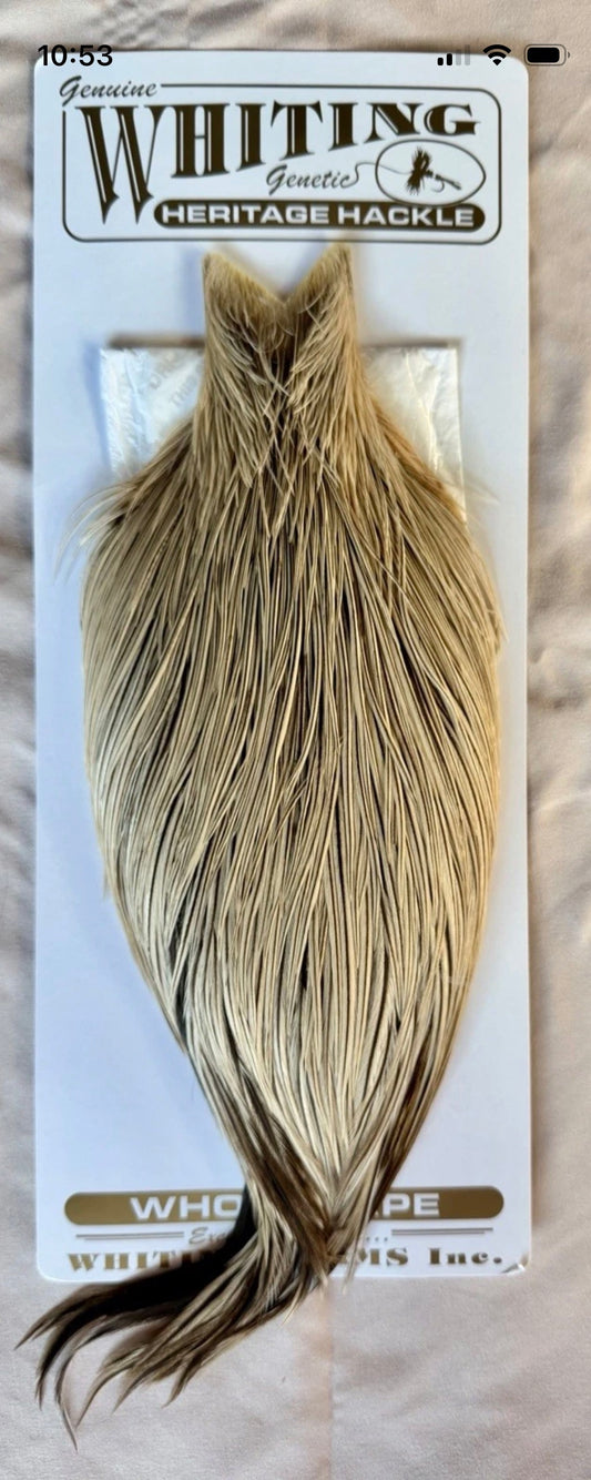 Whiting Farms Heritage Hackle Cape Badger 246-SH-E-L