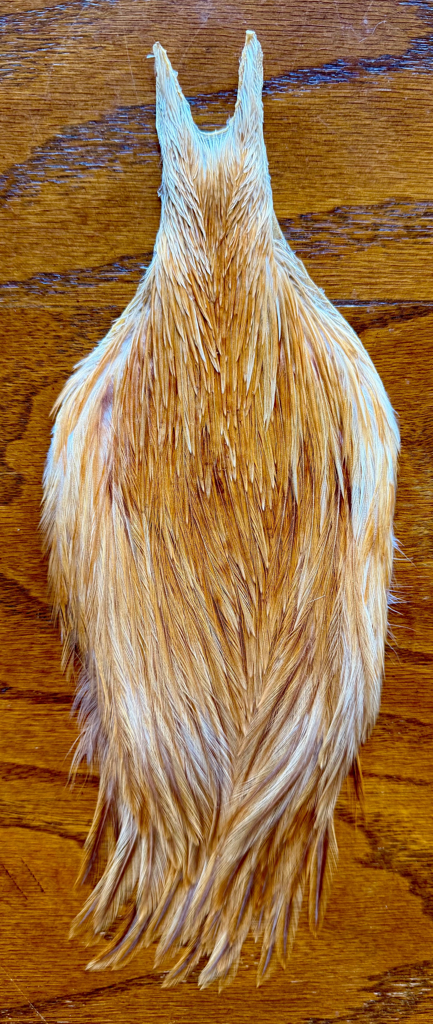 Metz Cape Light Ginger 416-SH-E-L