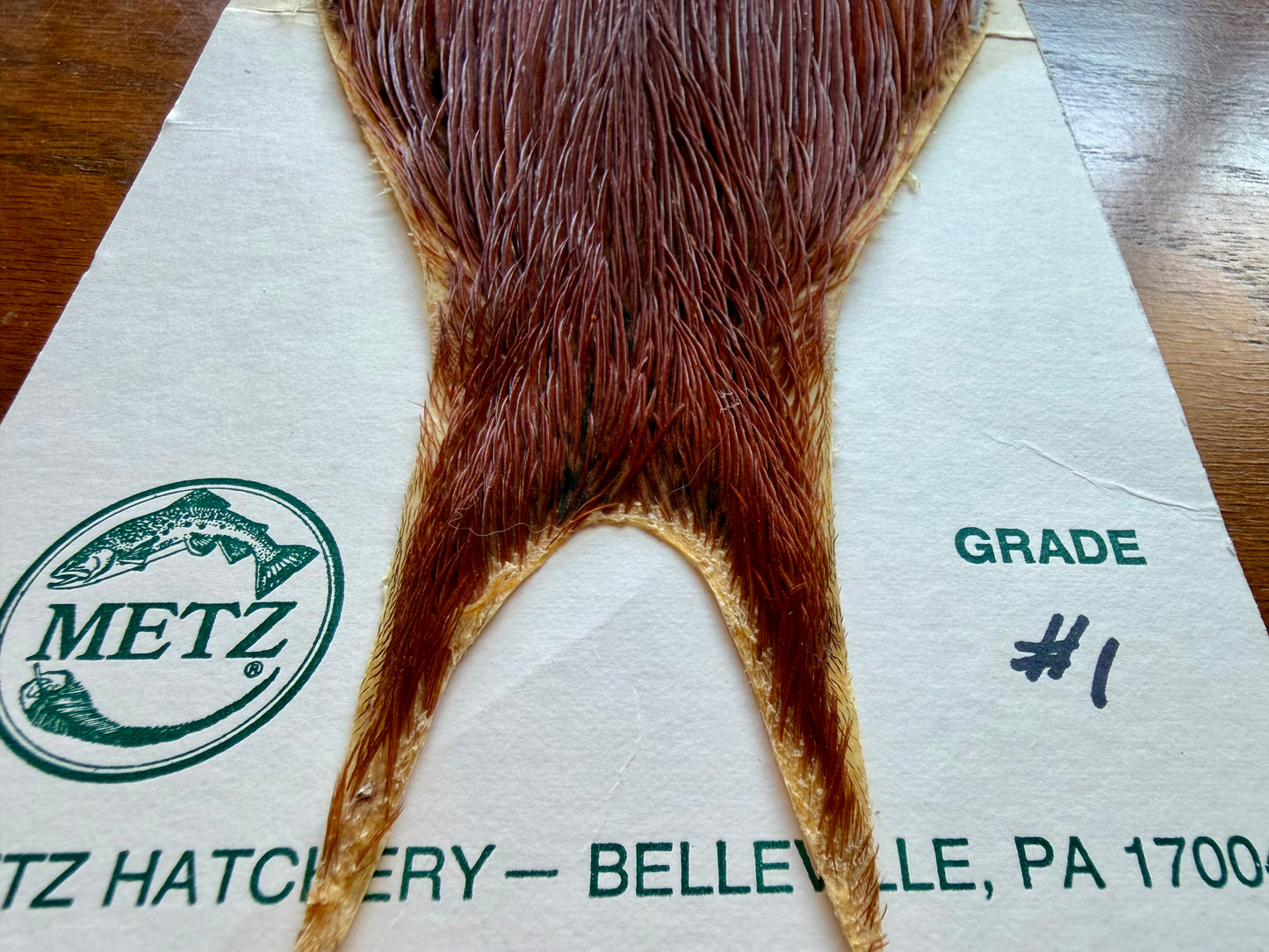 Metz Grade #1 Cape Brown 524-SH-E-L