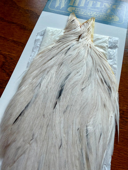 Whiting Hebert Miner Hen Cape Pale Watery Dun 363-SH-E-L