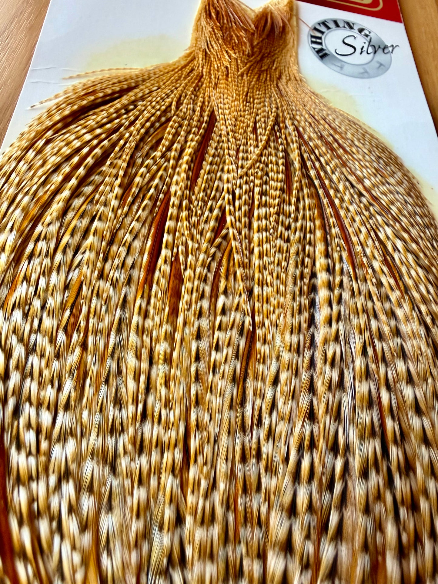Whiting Farms Silver Rooster Cape Barred Dark Ginger 390-SH-E-L