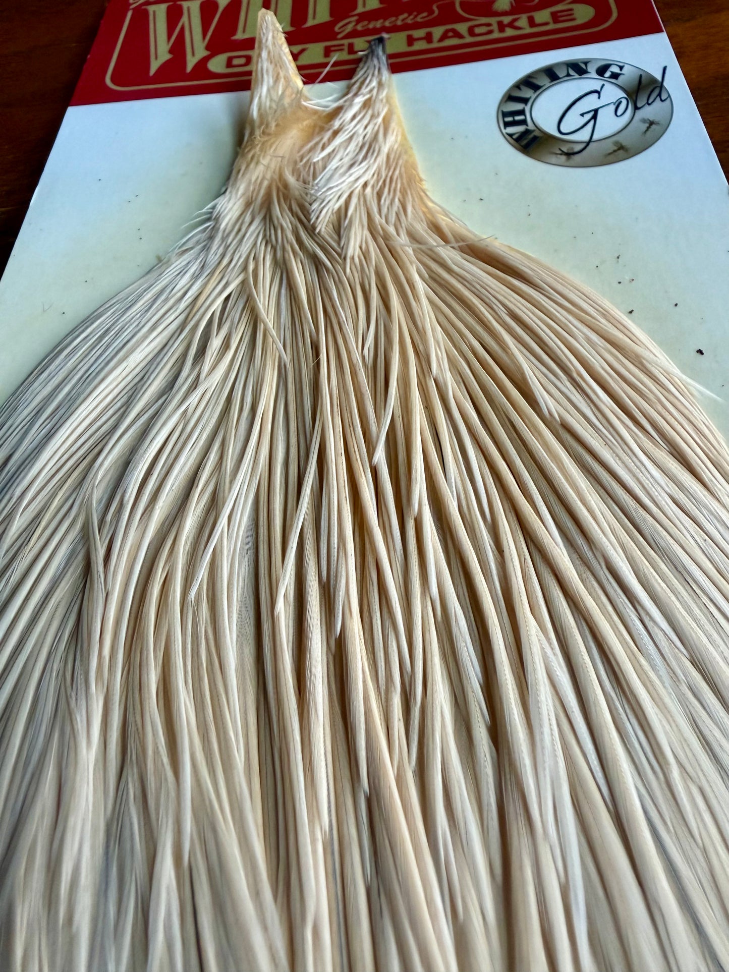 Whiting Gold Grade Rooster Cape Light Ginger 619-SH-E-L