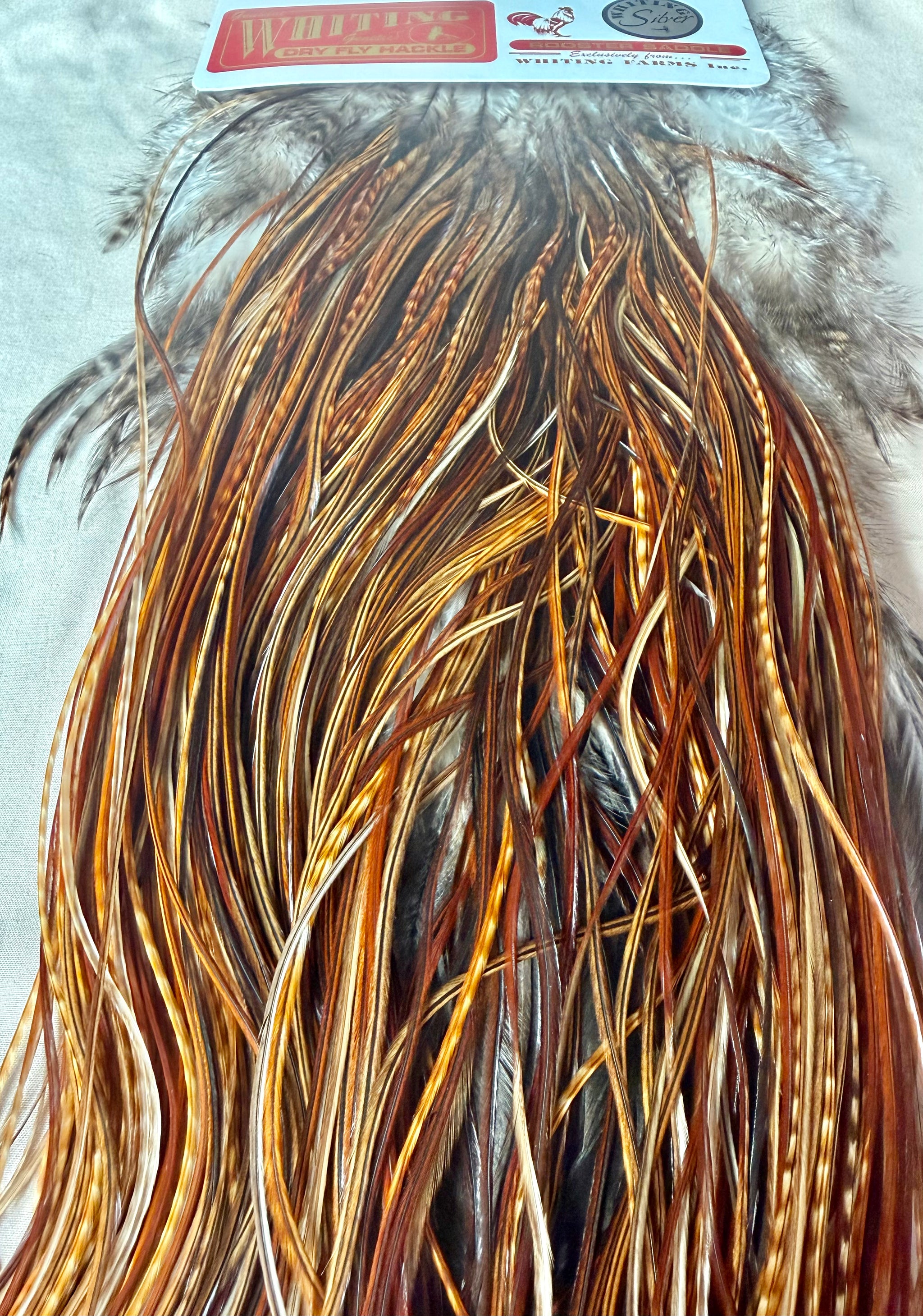 Whiting Silver-Grade Midge Rooster Saddle Barred Dark Ginger 198-SH-E-L