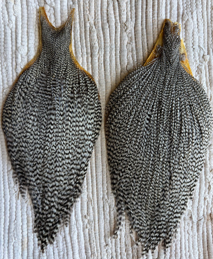 Grizzly Cape Pair (2pack)  851-SH-E-L