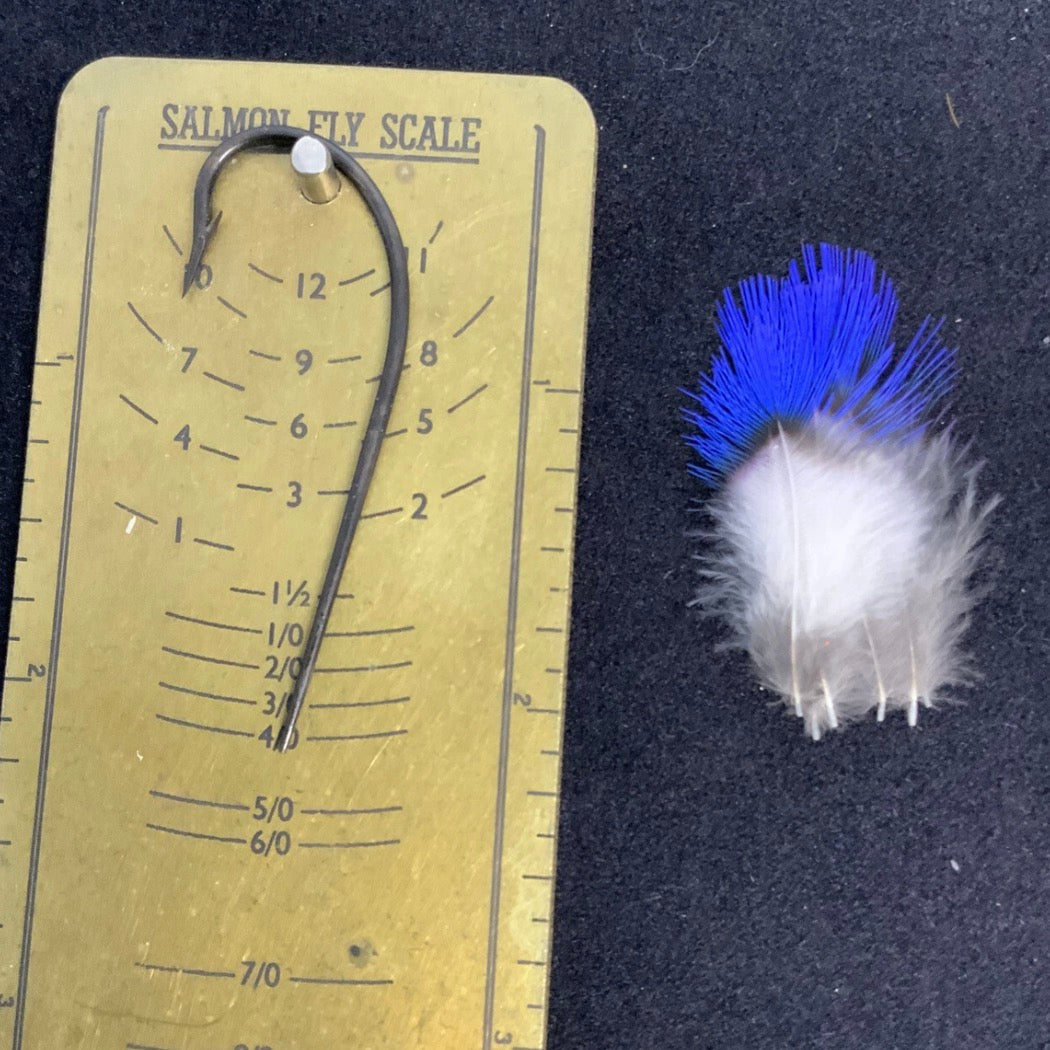 VINTAGE COTINGA COTINGA FEATHERS SALMON FLY TYING  FLIES RARE- (3 PAIR TAIL COVERT AREA)
