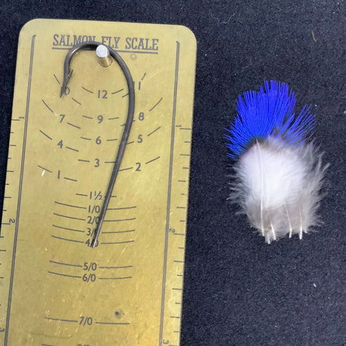 VINTAGE COTINGA COTINGA FEATHERS SALMON FLY TYING  FLIES RARE- (3 PAIR TAIL COVERT AREA)