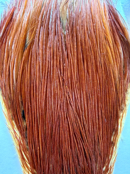 Metz Grade #1 Cape Brown 524-SH-E-L