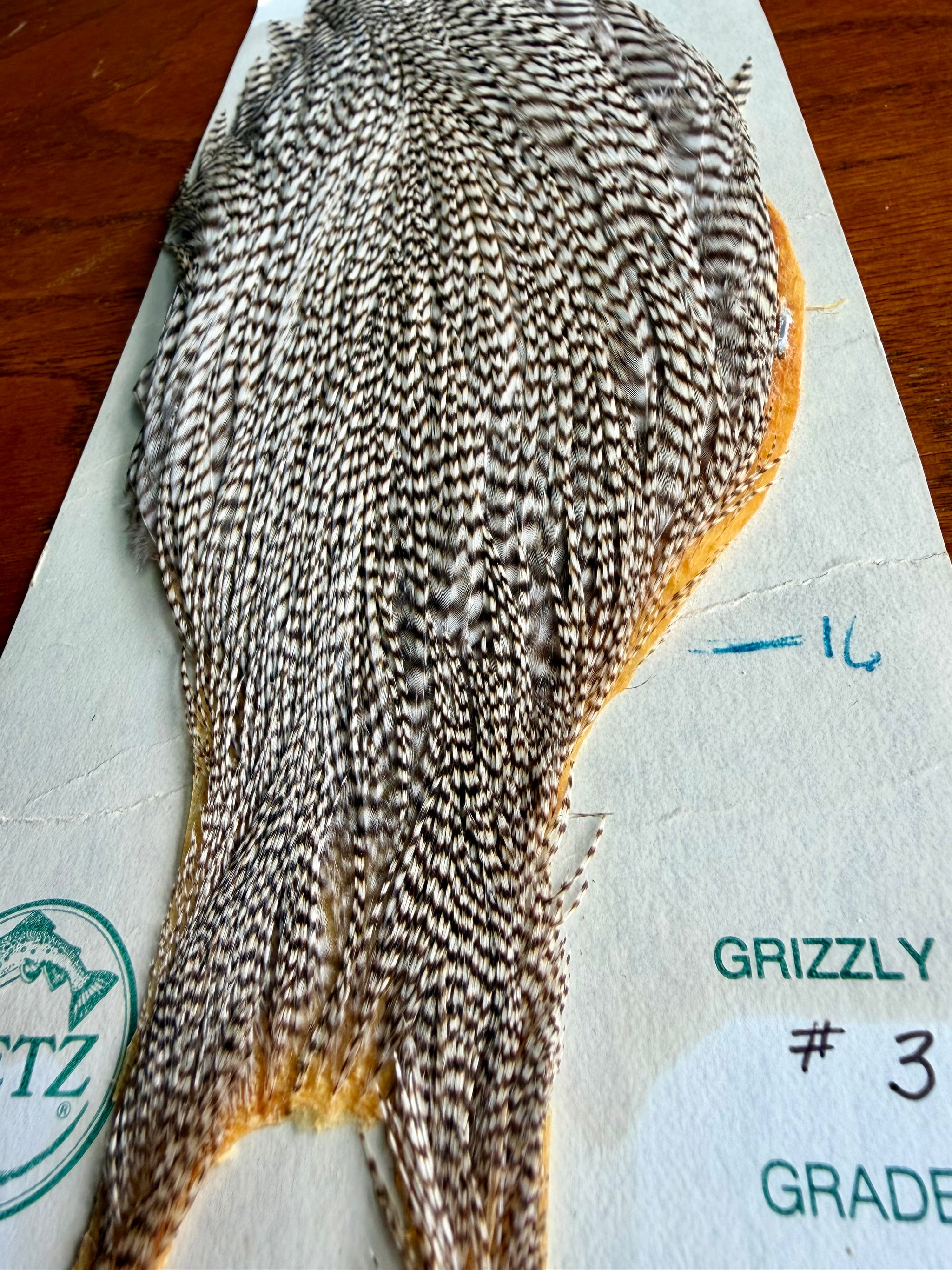Metz Grade 3 Cape Grizzly 609-SH-E-L