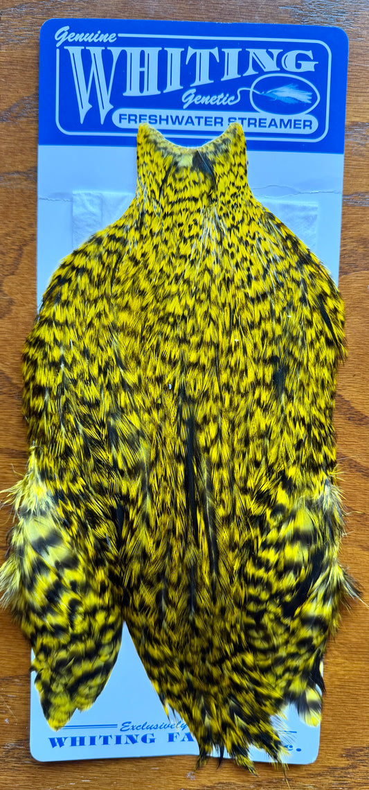 Whiting Farms Freshwater Streamer Cape: Grizzly Dyed Yellow 371-SH-E-L
