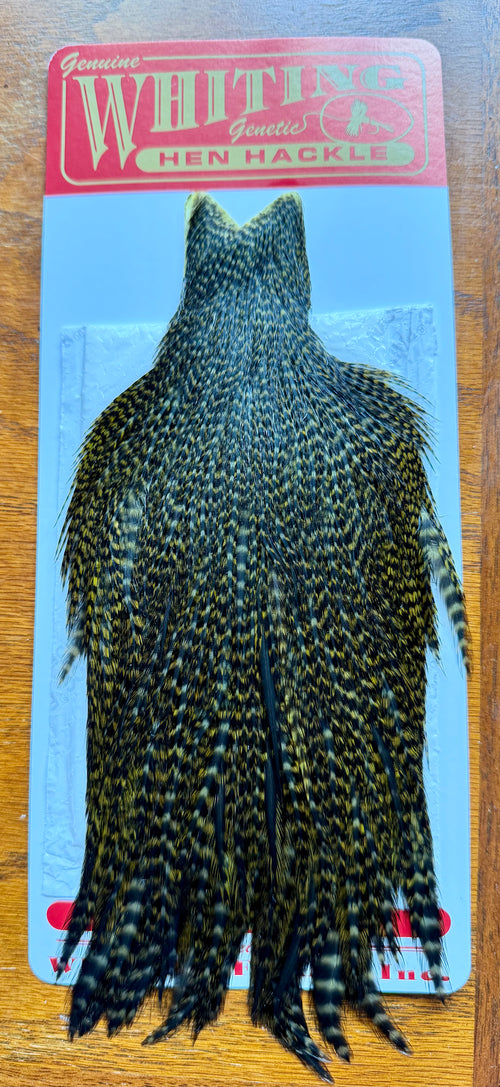 Whiting Farms Hen Cape Grizzly Dyed Dark Olive 308-SH-E-L