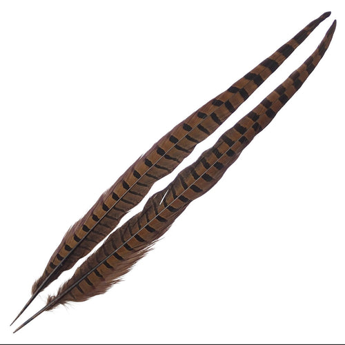 Pair of Ringneck Pheasant Tail Feathers