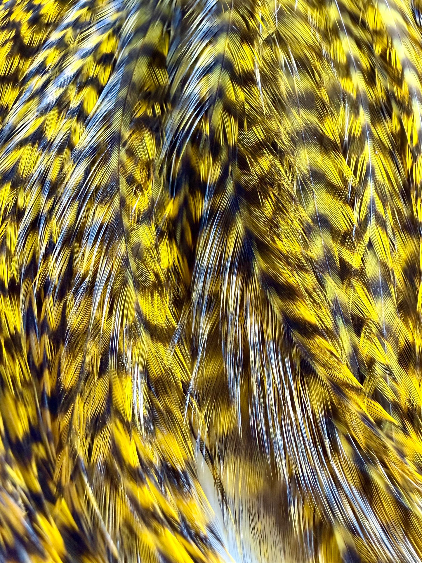 Whiting Bugger Pack Grizzly Dyed Yellow 735-SH-E-L