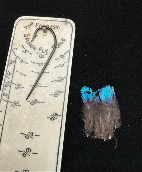 Vintage Rifle Bird of Paradise (10 Feathers)