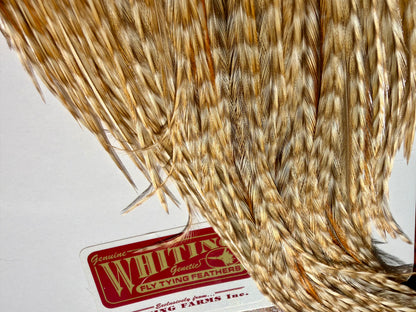 Whiting Grizzly Ginger Cape 683-SH-E-L