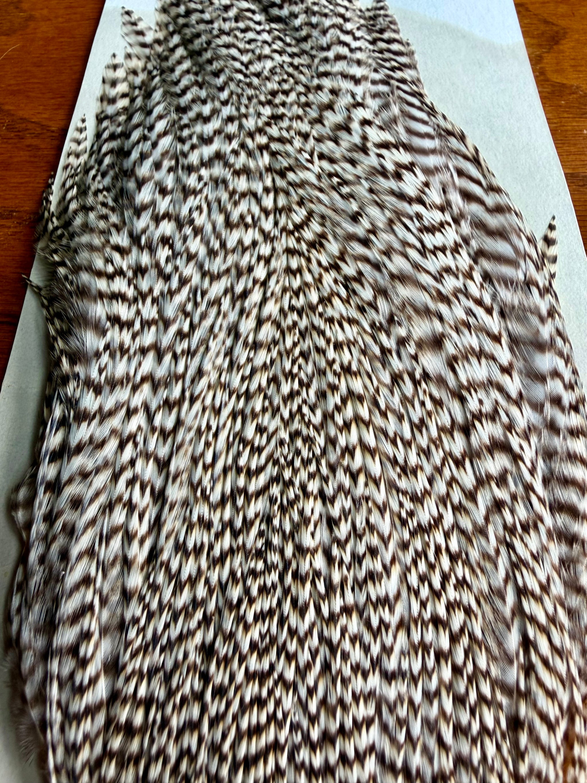 Metz Grade 3 Cape Grizzly 609-SH-E-L