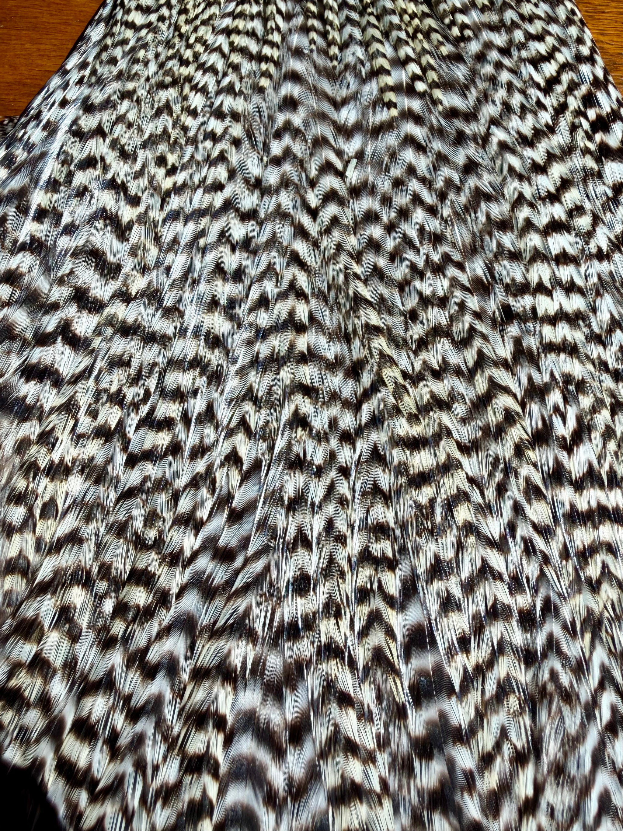 #1 Grizzly Cape 684-SH-E-L