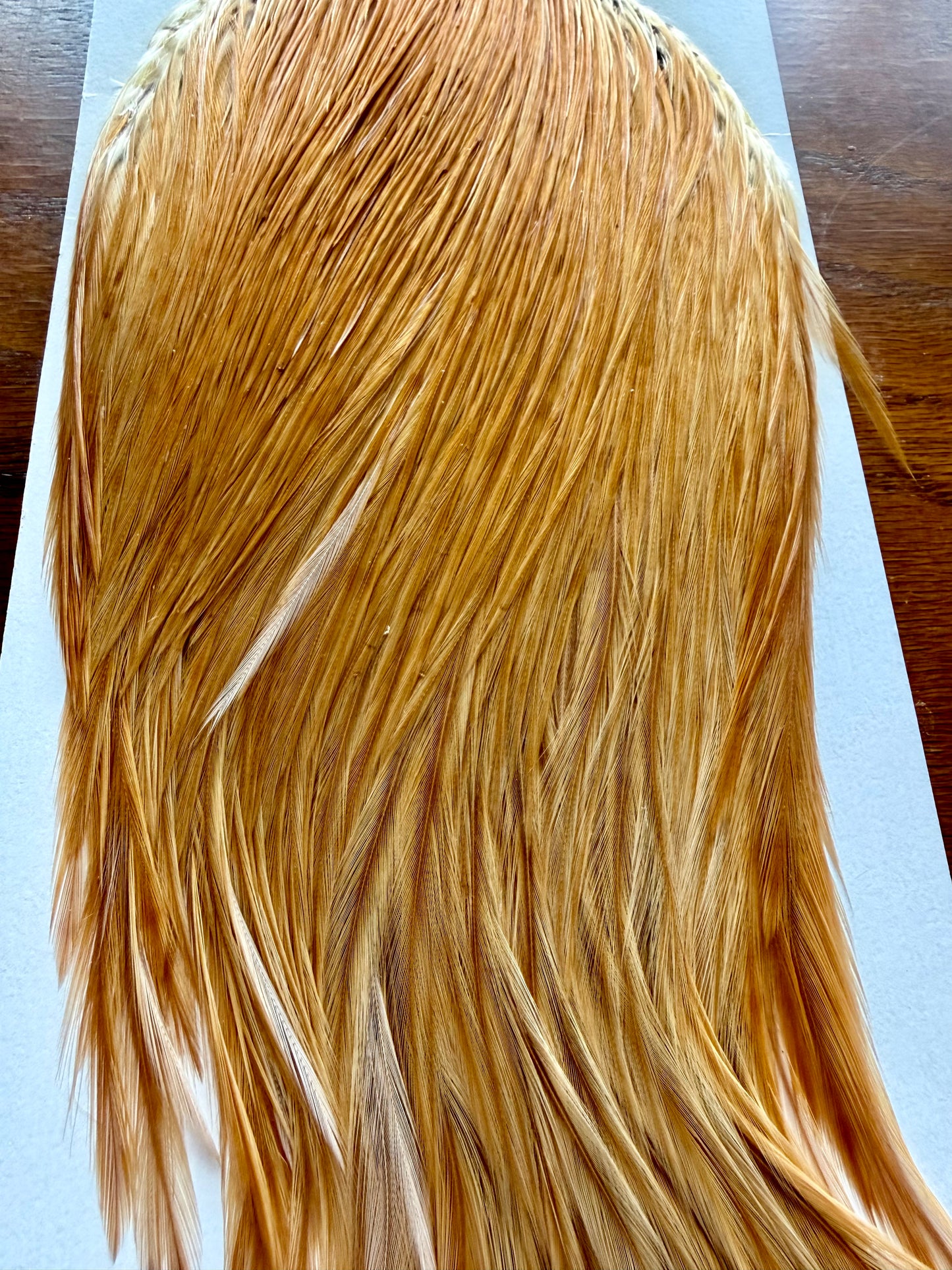 Metz Cape Grade #3 Light Ginger 418-SH-E-L