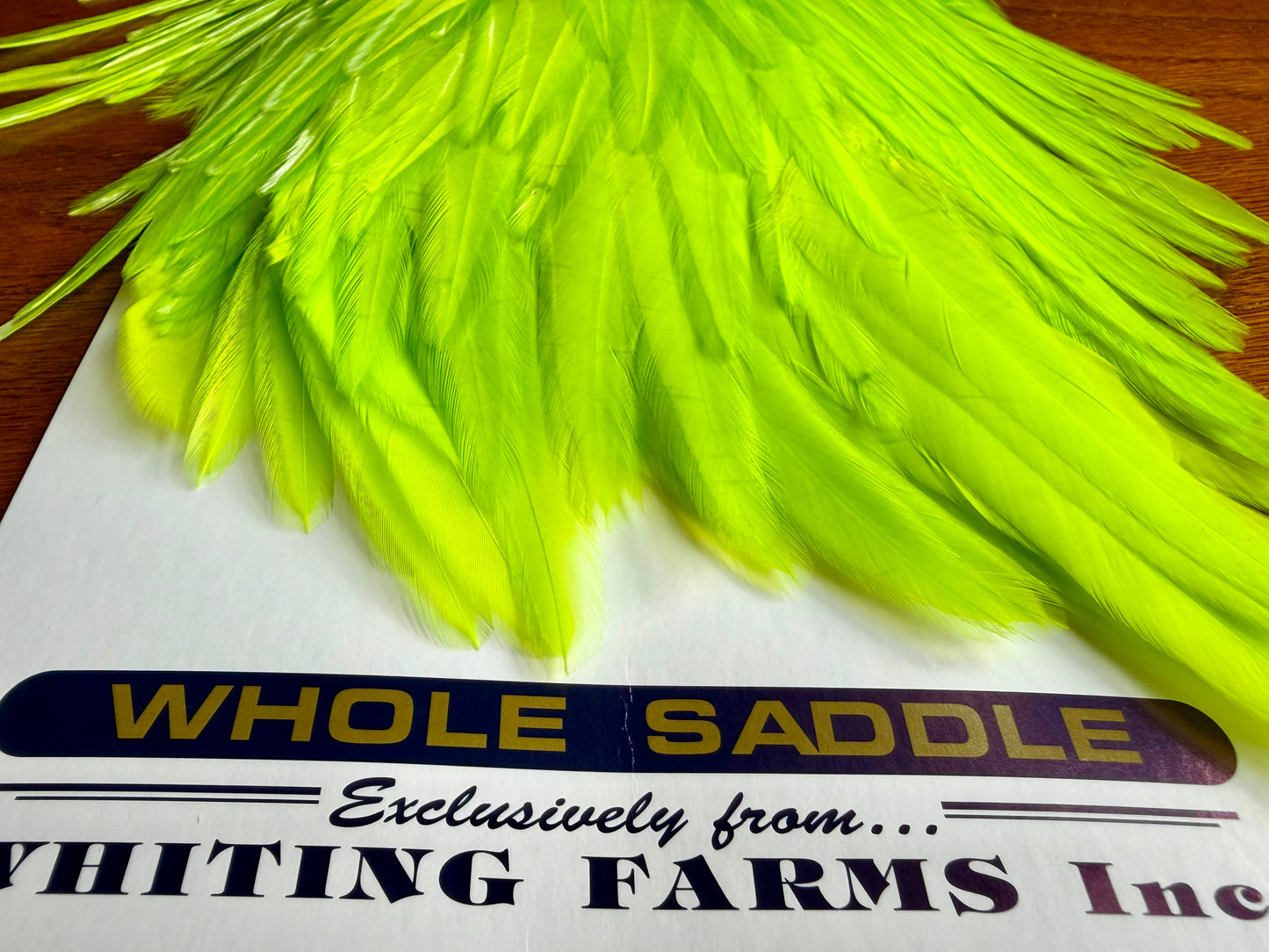 Whiting American Hackle Saddle White Dyed Fluo Green Chartreuse 741-SH-E-L