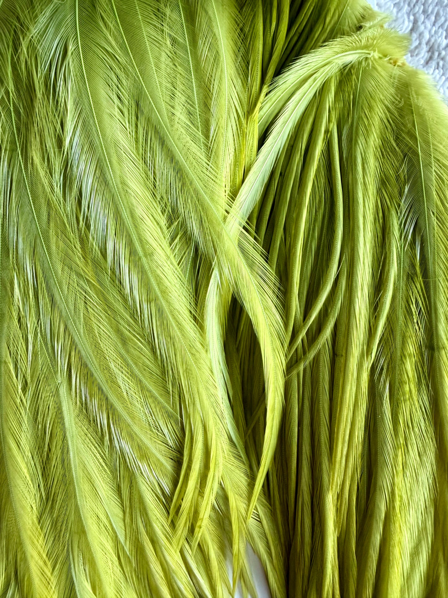 Whiting Bugger Pack White Dyed Olive 734-SH-E-L