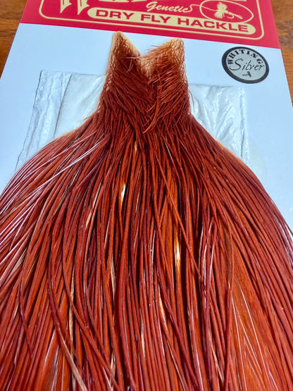 Whiting Farms Silver Grade Rooster Cape Brown 802-SH-E-L