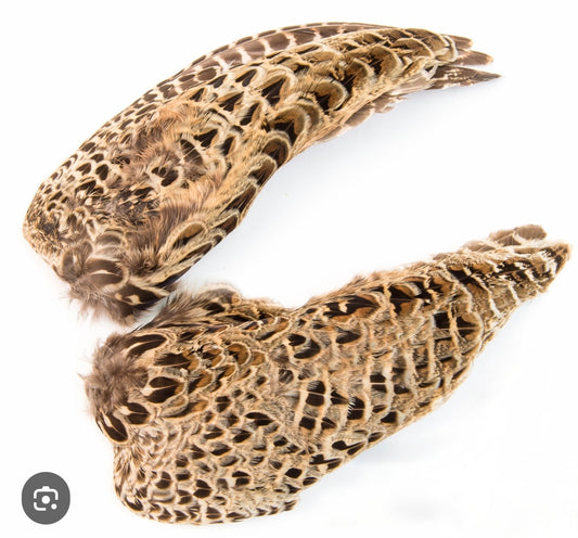 Veniard - Pair of Hen Pheasant Wings