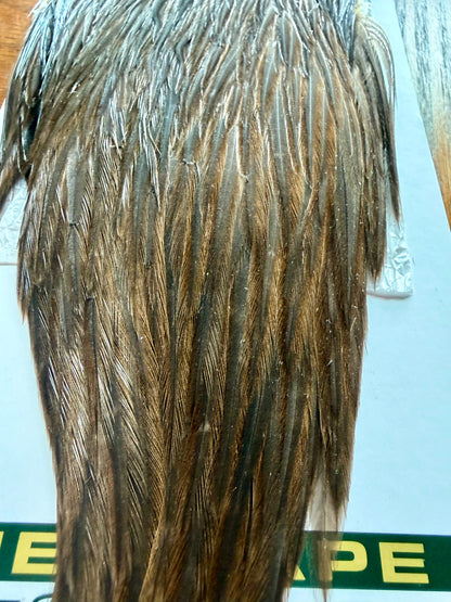 Whiting Hebert Miner Hen Cape Dark Brown Dun 313-SH-E-L