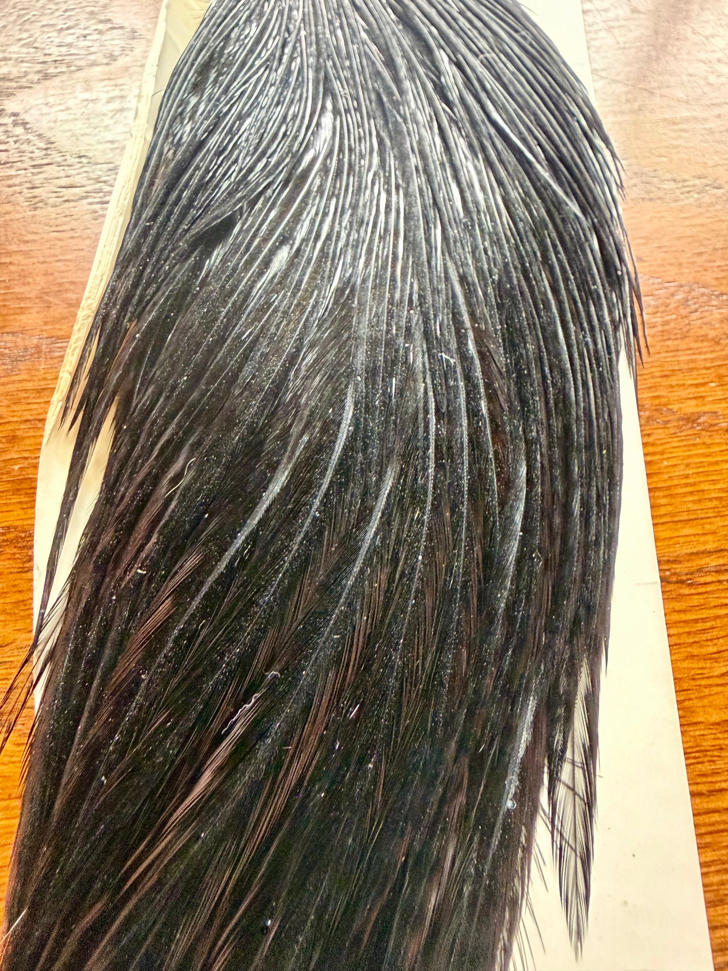 Whiting Farms Bronze Half Cape Dyed Black 410-SH-E-L