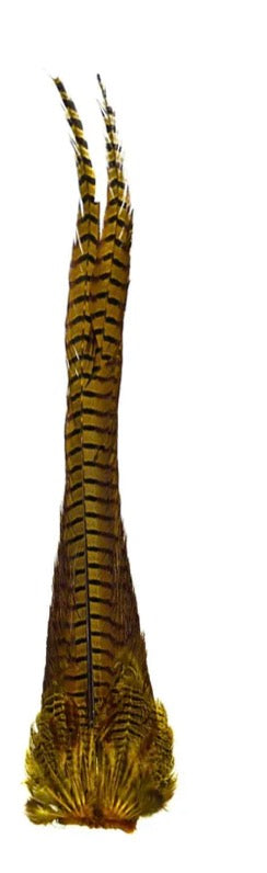 Metz Ringneck Pheasant Tail Clump- Natural