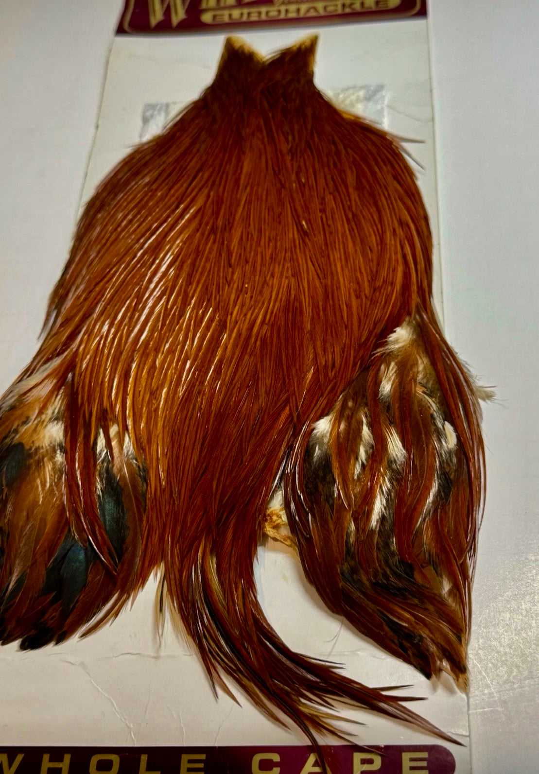 Whiting Eurohackle Cape: White Dyed Brown- Rare Find  SH-E-201