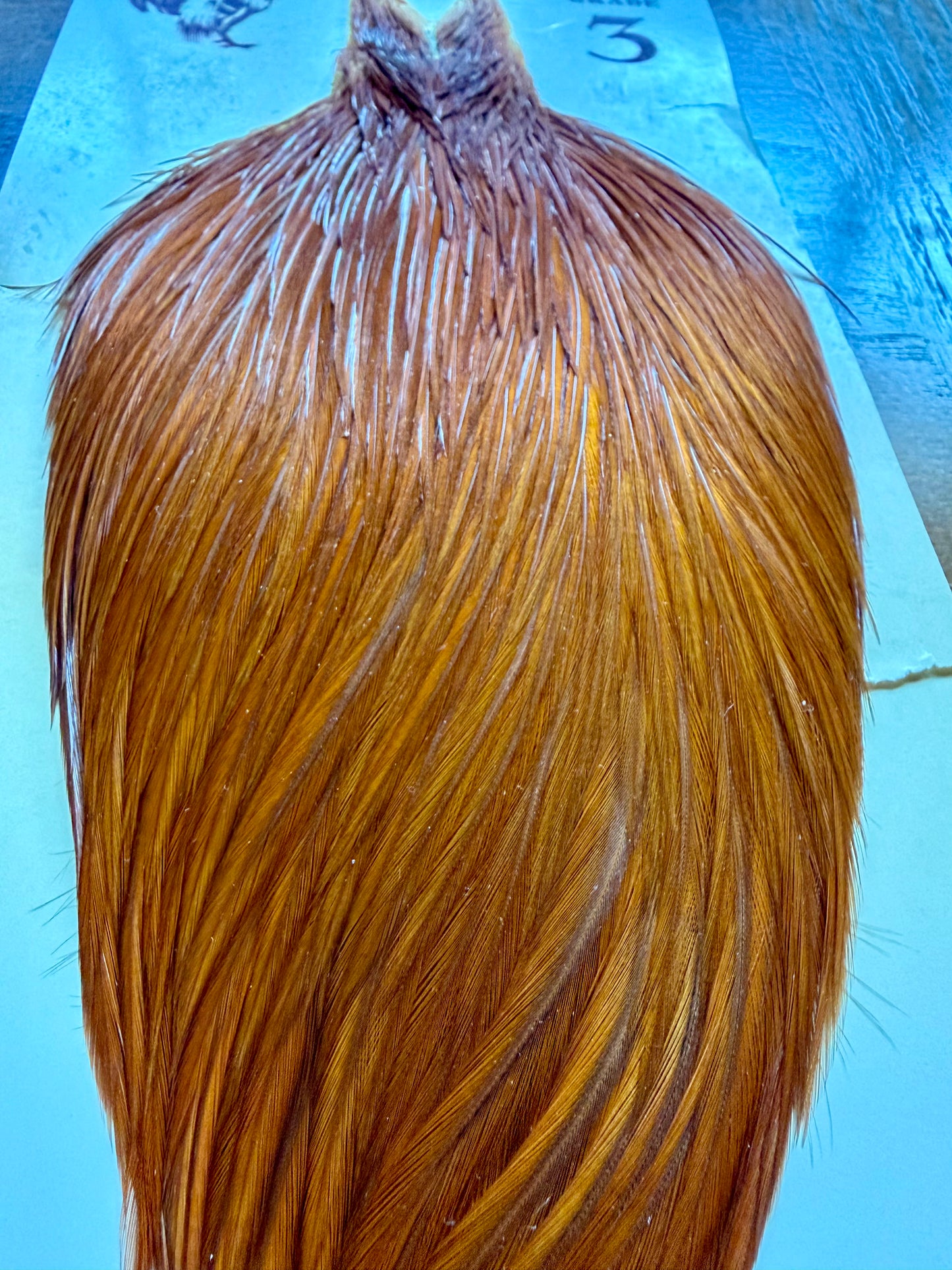 Hoffman Grade 3 Super Rooster Cape, Brown 510-SH-E-L