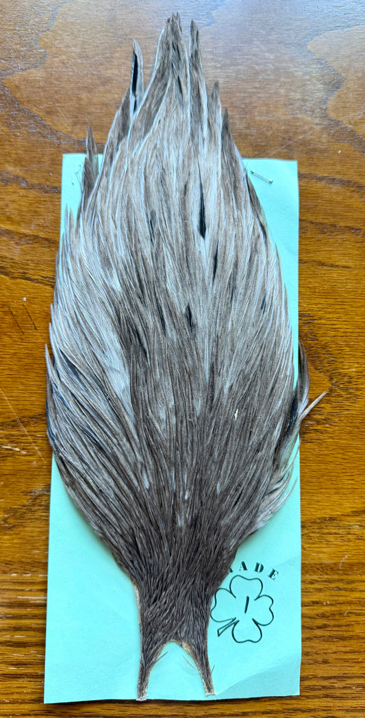 Shannon’s Fancy Hackle Grade 1 Cape Dun 558-SH-E-L