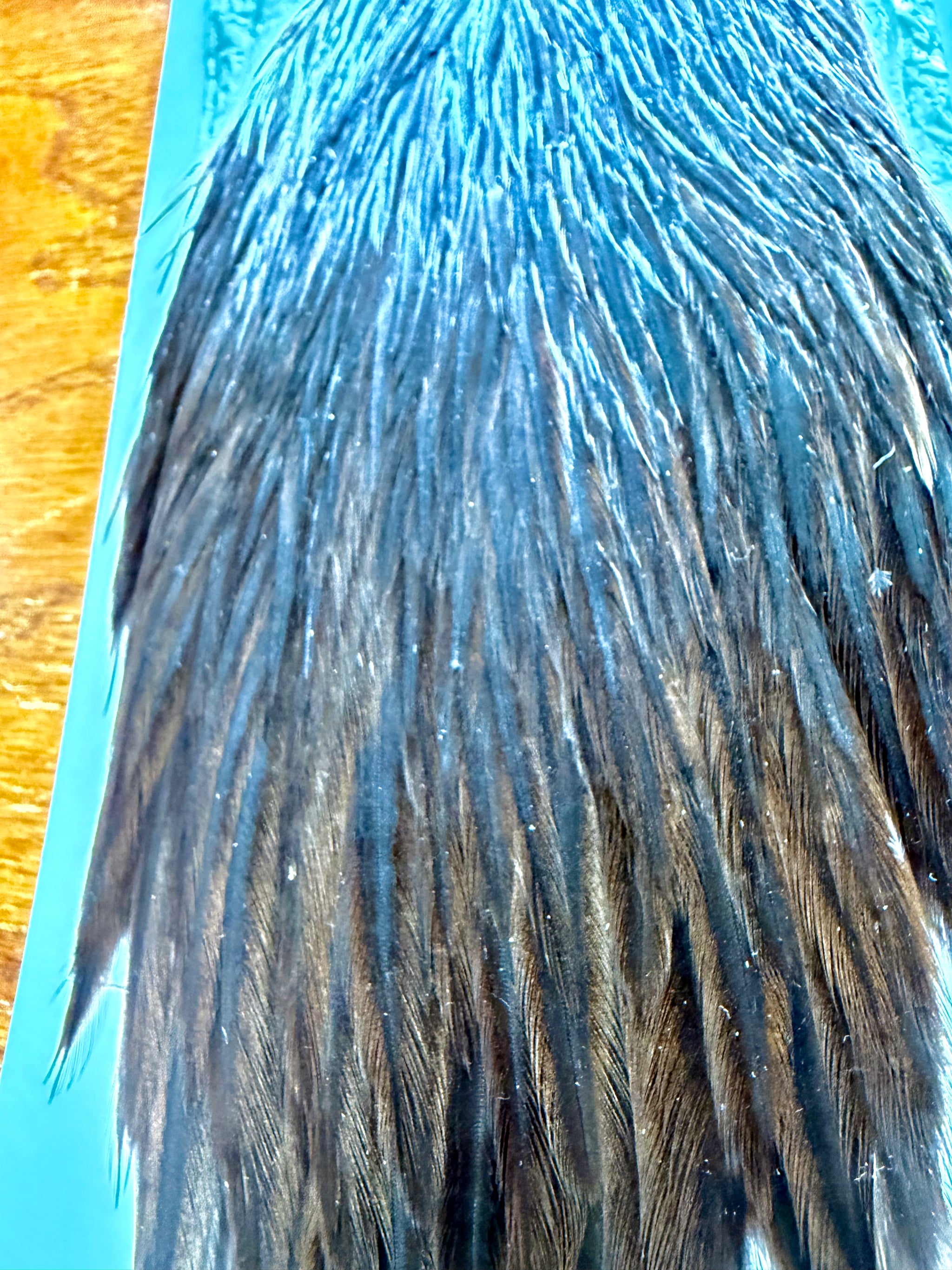 Whiting Hebert Miner Hen Cape Dark Brown Dun 312-SH-E-L