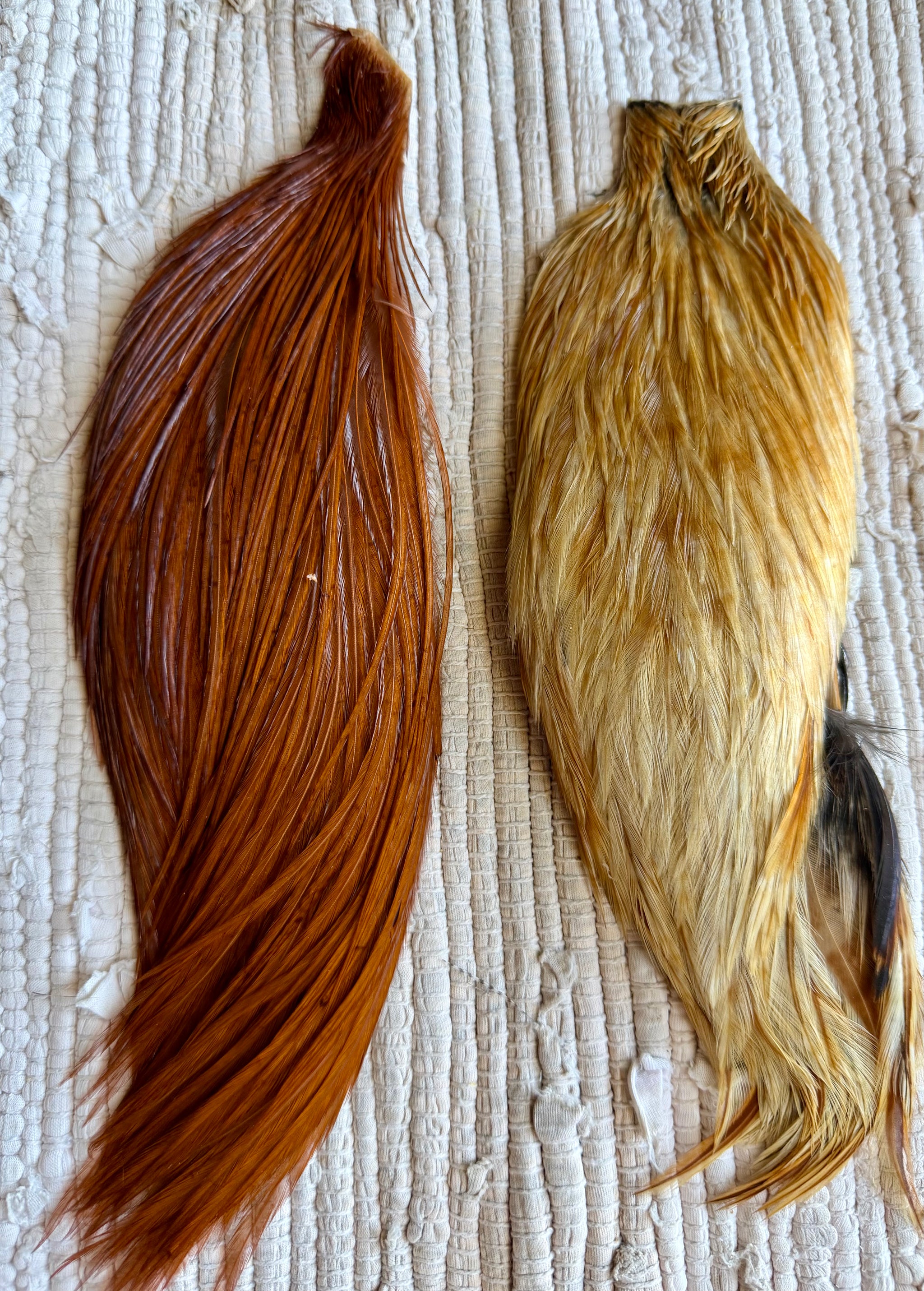 Half Cape Brown, Cape Light Ginger (set of 2) 854-SH-E-L