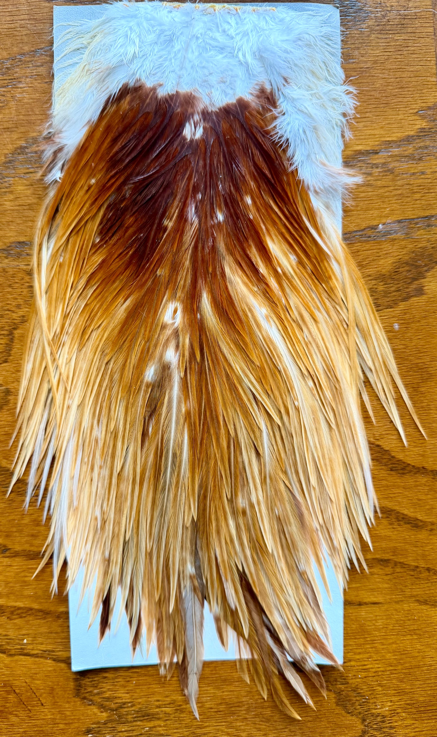 Metz #2 Saddle, Light Ginger 441-SH-E-L
