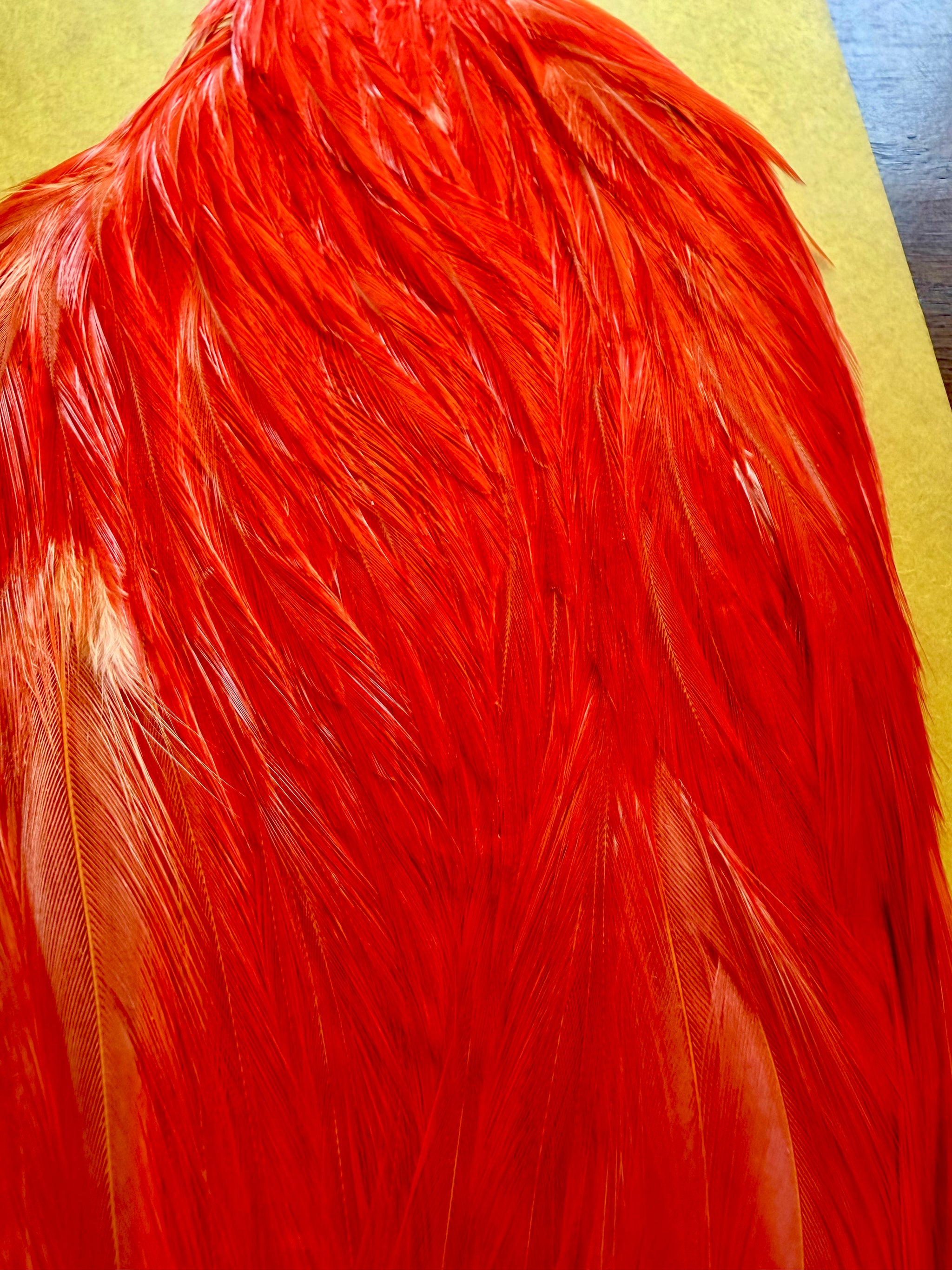 Hareline Dubbin Cape Orange 465-SH-E-L