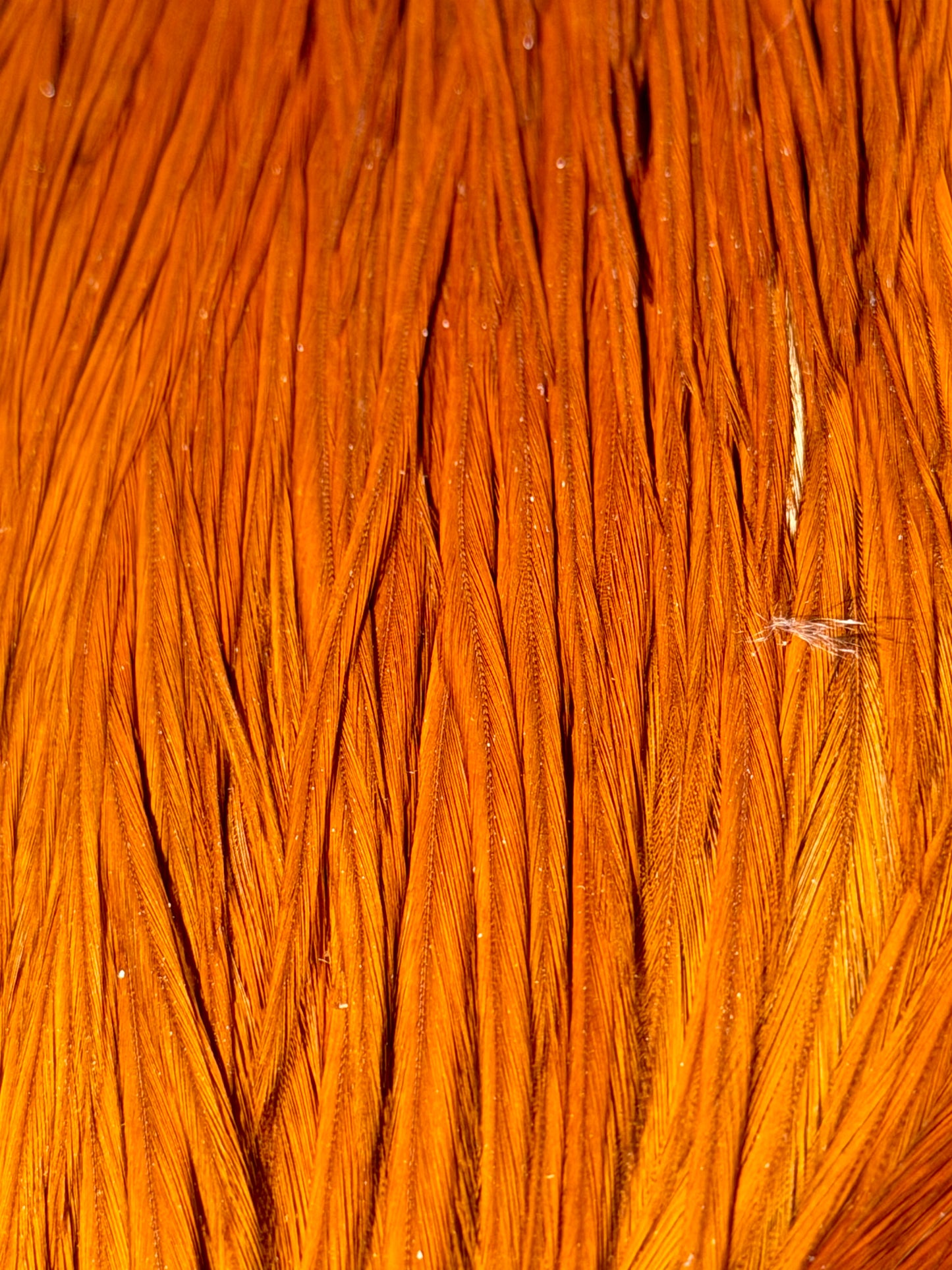 Whiting Farms Pro Grade Cape Brown 670-SH-E-L