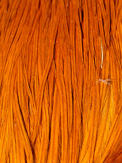 Whiting Farms Pro Grade Cape Brown 670-SH-E-L