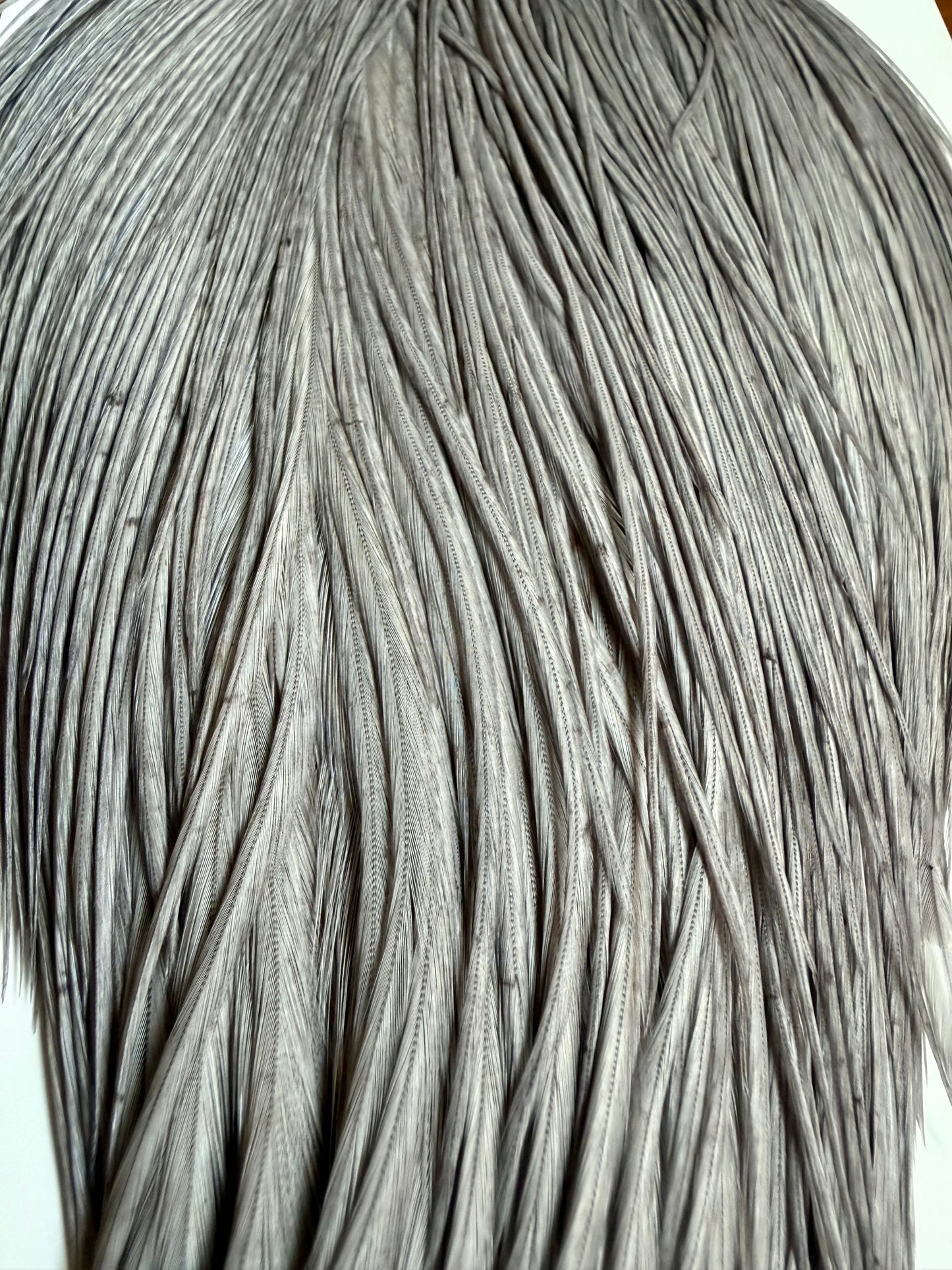 Whiting Farms Silver Grade Rooster Cape Medium Dyed Dun 770-SH-E-L