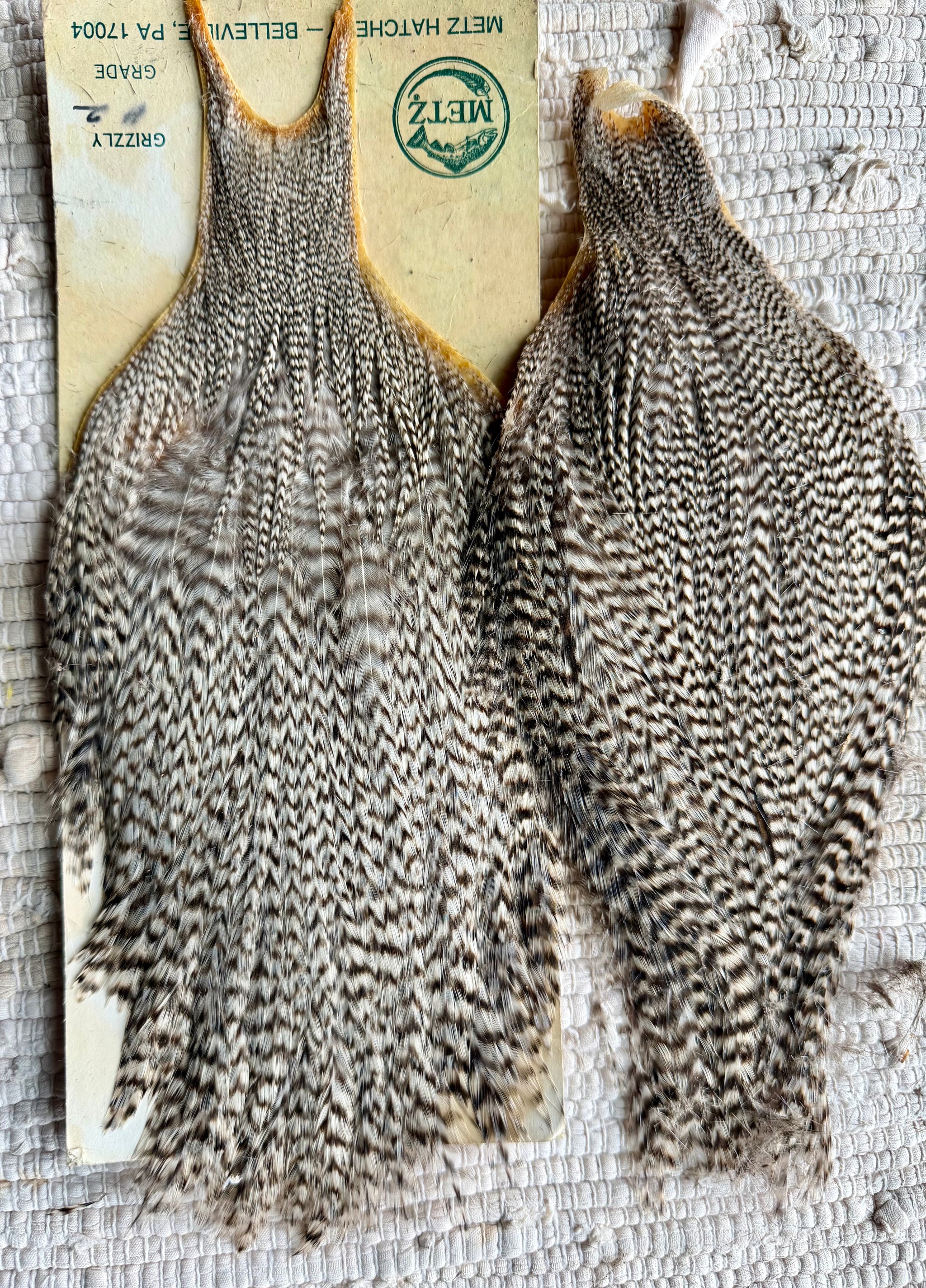 Metz Grade #2 Capes Two Grizzly Set 836-SH-E-L