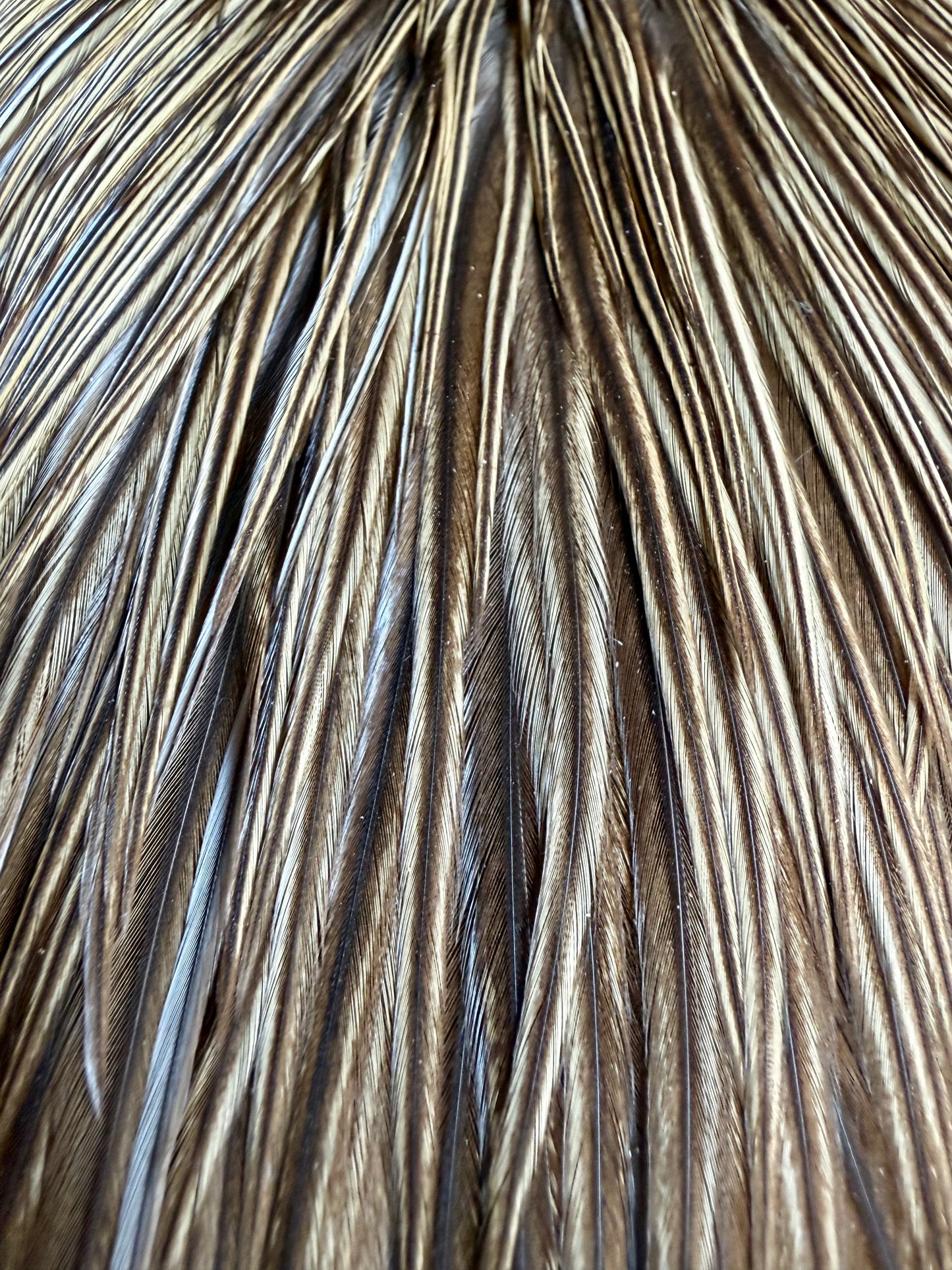 Rooster Cape Unique Variant 696-SH-E-L