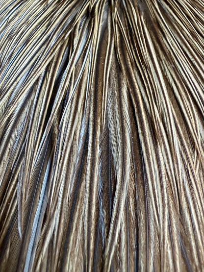 Rooster Cape Unique Variant 696-SH-E-L