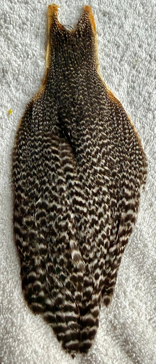 Whiting Hen Cape Grizzly 737-SH-E-L