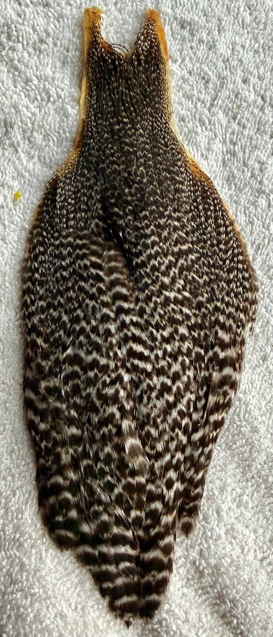 Whiting Hen Cape Grizzly 737-SH-E-L