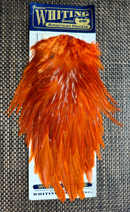 Whiting American Hackle Saddle White Dyed Burnt Orange 743-SH-E-L