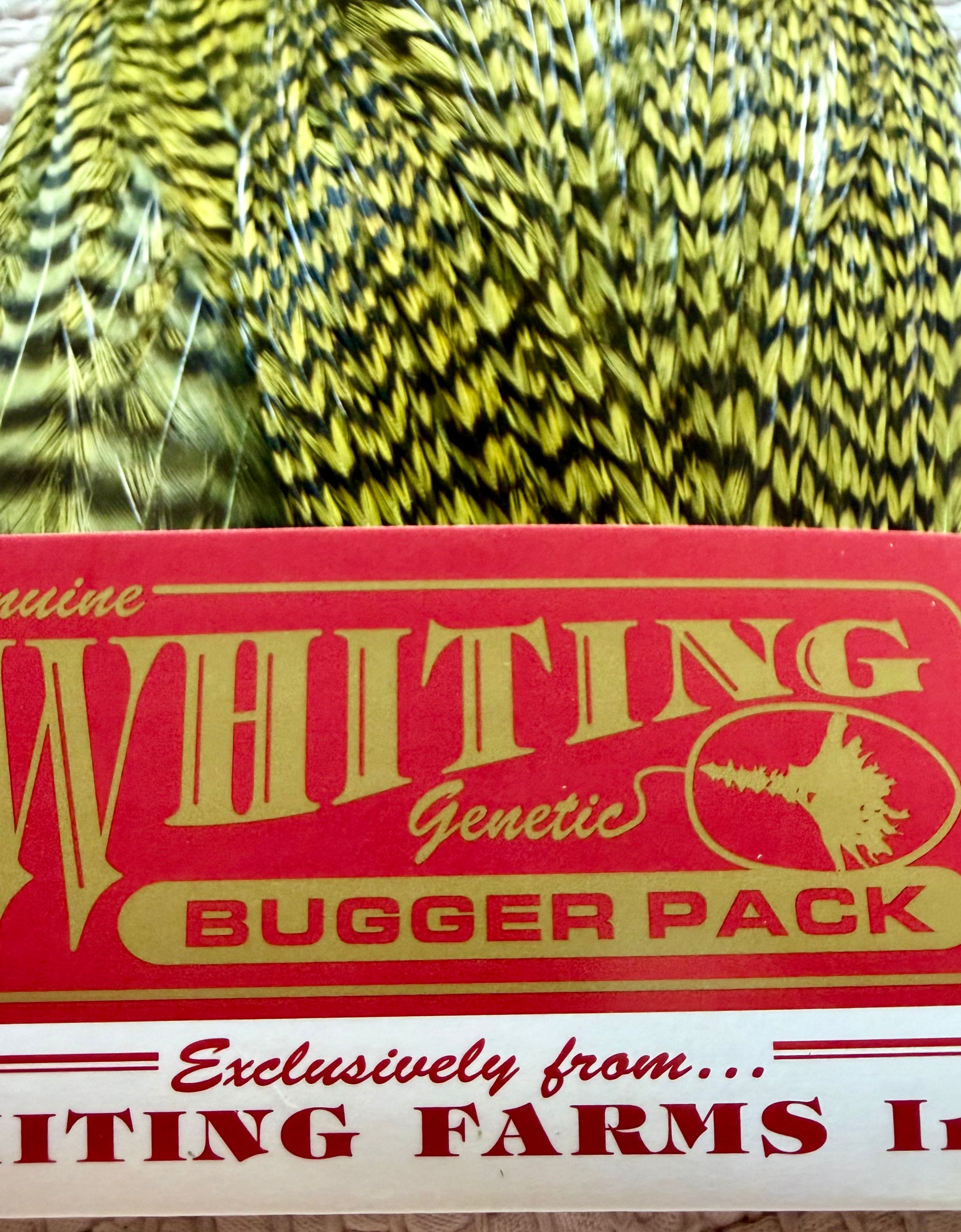 Whiting Bugger Pack Grizzly Dyed Olive 728-SH-E-L