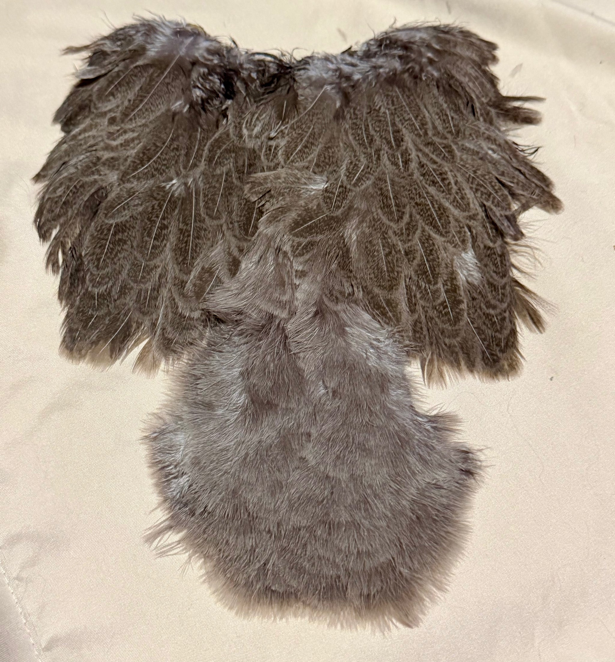 Whiting Farms Soft Hackle Brahma Hen Chickabou Pelt Mottled Gray dyed Medium Dun 204-SH-E-L